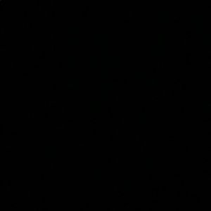 Meet your Posher, Lourdes